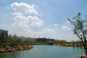 Landscape greening project of Zhuhe District Ⅱ in Weifang High tech Zone