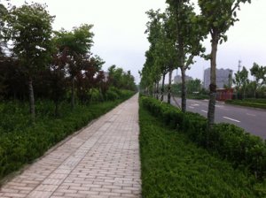 Weifang Yong'an Road Greening Project