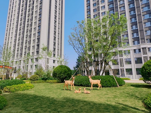 泰和东郡四期西区室外景观绿化工程